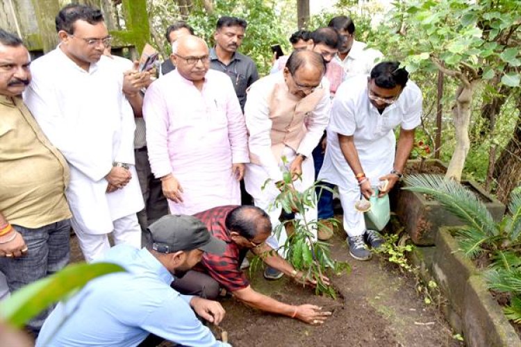 मुख्यमंत्री ने सारणी में लगाया मौलश्री का पौधा