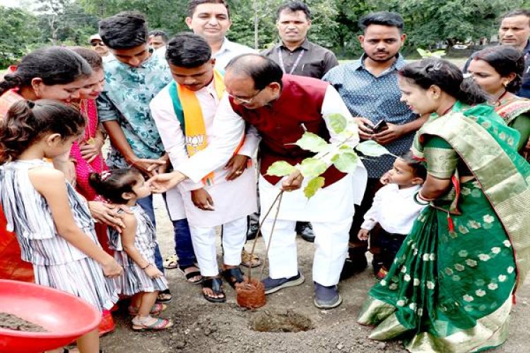 मुख्यमंत्री के साथ सामाजिक कार्यकर्ताओं ने किया पौध-रोपण