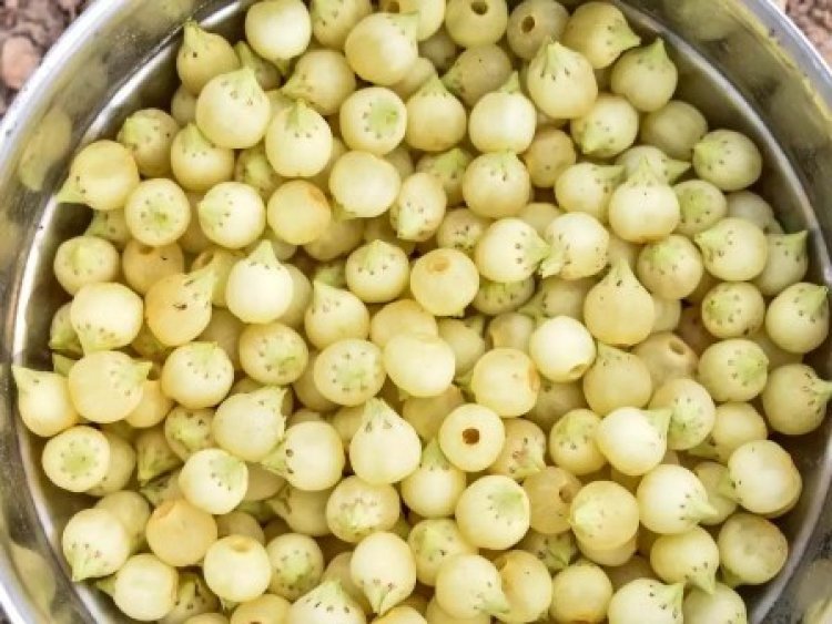 यूरोप में महका मप्र का महुआ, महुआ चाय, महुआ पावडर, महुआ स्नेक्स का स्वाद भा गया