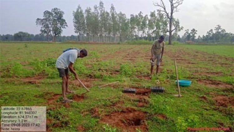 मुख्यमंत्री वृक्ष सम्पदा योजना में पर्यावरण संरक्षण के साथ होगा मृदा संरक्षण