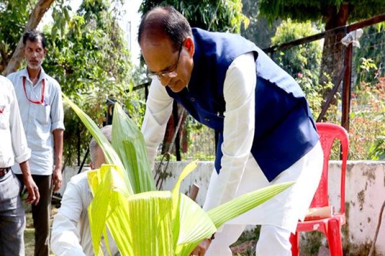 मुख्यमंत्री चौहान ने लगाया नारियल का पौधा