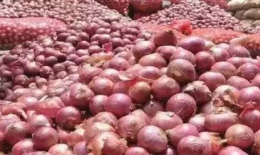 टमाटर का मिजाज ठंडा हुआ, अब प्याज के चढे भाव, नेताओं के आख मे ला सकता है आंसू