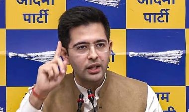 इंडिया गठबंधन के टॉप लीडर्स को जेल में डालने की तैयारी: राघव चड्ढा