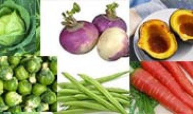 ठंड में खाएं ये सब्जियां, खत्म हो जाएगी शरीर से ब्लड शुगर की समस्या, जानिए कौन सी हैं वो सब्जियां