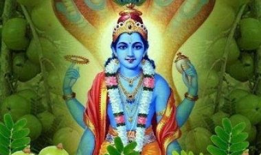 जानिए कब है आंवला नवमी और क्यों की जाती है आंवले के वृक्ष की पूजा