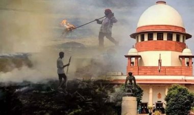 वायु प्रदूषण पर सुप्रीम कोर्ट सख्त, कहा-किसानों को खलनायक बनाया जा रहा