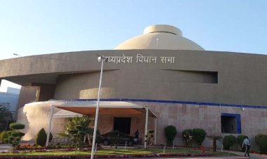 कांग्रेस की काट में जुटी पार्टी, आदिवासी विधायक को भाजपा बनाएगी विस उपाध्यक्ष