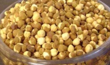 भुना चना प्रोटीन का पावरहाउस, डायबिटीज सहित कई बीमारियों को करे काबू, जानिए कैसे?