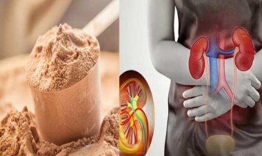 सावधान..! प्रोटीन पाउडर कर रहा हडिडयों को कमजोर, किडनी भी हो सकती है डैमेज