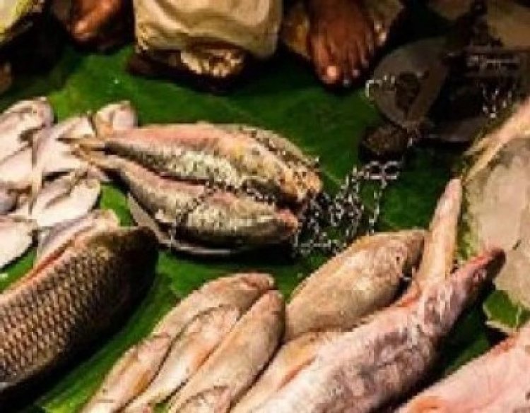 मांस-मछली के अवैध विक्रय पर तीसरे दिन भी हुई कार्यवाही