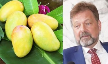 भारतीय आम की पहली खेप पहुंची बेल्जियम, यूरोपीय सुपरमार्केट में मनाया गया