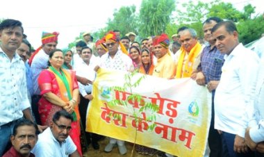 वृक्षारोपण महाभियान के तहत पौधारोपण की जियो टैंगिंग कर उनकी देखभाल की जिम्मेदारी तय की जावें: शिक्षा एवं पंचायतीराज मंत्री