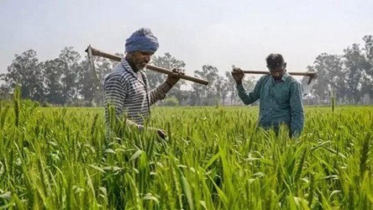 मुख्यमंत्री किसान सम्मान निधि योजना का 30 जून, 2024 को होगा शुभारंभ 