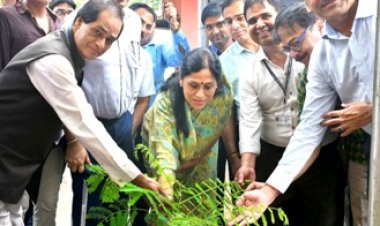 राष्ट्रीय चिकित्सक दिवस पर वृक्षारोपणअभियान का शुभारम्भ