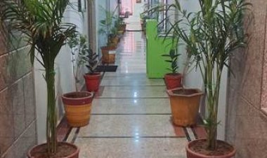 प्रदूषण मुक्त एवं हरित राजस्थान के लिए संकल्पित राज्य सरकार, राज्य भर में 20 लाख से अधिक पौधे लगाए जाएंगे