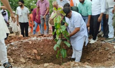 वन एवं पर्यावरण मंत्री ने किया अलवर शहर के आसपास के वन क्षेत्रों का निरीक्षण