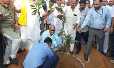 शिक्षा मंत्री मदन दिलावर ने पलसाना सीएचसी परिसर में लगाएं 551 पौधे