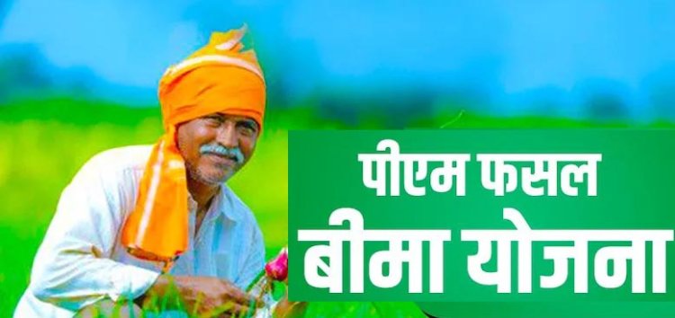 खरीफ फसलों का बीमा: 31 जुलाई तक प्रधानमंत्री फसल बीमा योजना करवा सकेंगे कृषक