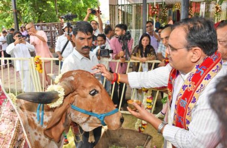 प्रकृति पूजा हमारी सांस्कृतिक परम्परा: मुख्यमंत्री भजनलाल शर्मा 