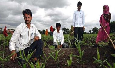 युवा किसानों को मिलेगा विदेशों में प्रशिक्षण, 25 सितम्बर तक कर सकते हैं ऑनलाइन आवेदन