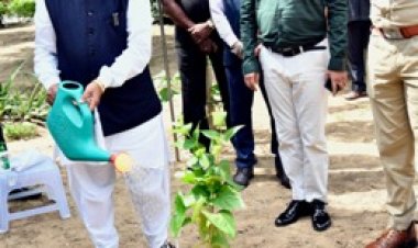 बागडे ने राजभवन में पौधारोपण किया