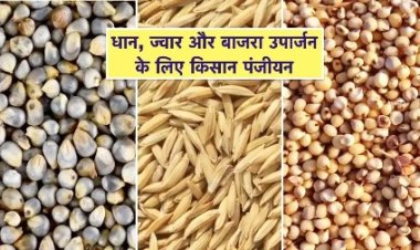 धान, ज्वार और बाजरा उपार्जन के लिए 6 जिलों में किसान पंजीयन 21 अक्टूबर तक