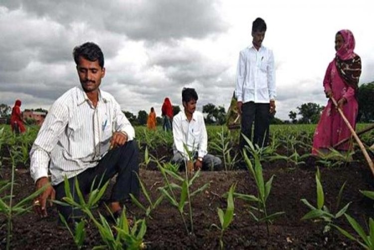 युवा किसानों को मिलेगा विदेशों में प्रशिक्षण, 25 सितम्बर तक कर सकते हैं ऑनलाइन आवेदन