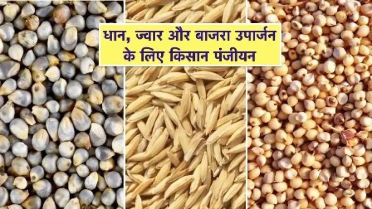 धान, ज्वार, बाजरा उपार्जन के लिये अभी तक 1.95 लाख किसानों ने कराया पंजीयन