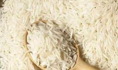 गैर-बासमती चावल पर प्रतिबंध हटाने से मप्र के किसानों, निर्यातकों की आय में होगी वृद्धि