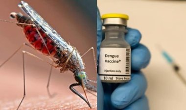 जल्द मिलेगा देश में डेंगू का टीका, क्लीनिकल ट्रायल का तीसरा फेस जारी, जानिए कब होगा लांच