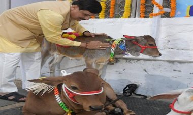 मुख्यमंत्री डॉ. यादव ने की गोवर्धन पूजा की तैयारी