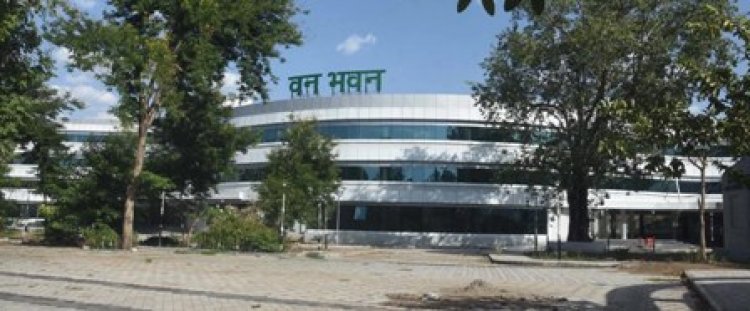 “कमेन्डेशन डिस्क’’ एवं “प्रशस्ति-पत्र’’ से सम्मानित होंगे वनकर्मी