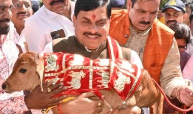 मुख्यमंत्री डॉ. यादव गोवर्धन पूजा के पर्व पर तिलकेश्वर गौ-सेवा सदन पहुंचे