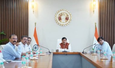 हाथियों की मौत पर सीएम का एक्शन, फील्ड डायरेक्टर और प्रभारी एसीएफ का निलंबन