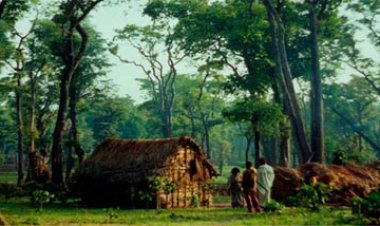 तीन लाख से अधिक वन अधिकार दावे मान्य