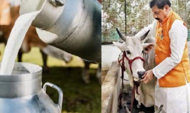 राष्ट्रीय दुग्ध दिवस 26 नवंबर पर विशेष: दुग्ध उत्पादन में अग्रणी मध्यप्रदेश