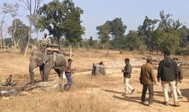 बाघ के रेस्क्यू में जुटी टाइगर रिजर्व की टीम
