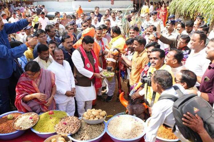 प्रकृति के सम्मान का उत्सव है गौवर्धन पूजा