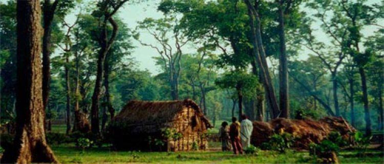 तीन लाख से अधिक वन अधिकार दावे मान्य