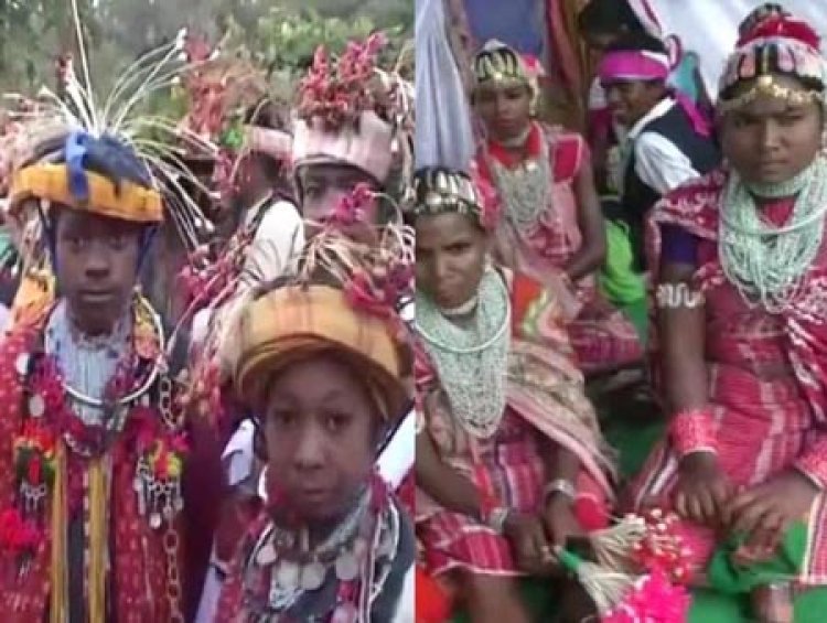21 बैगा बहुल एवं 12 भारिया बहुल बसाहटों के हेबिटेट राइट को मिली मान्यता