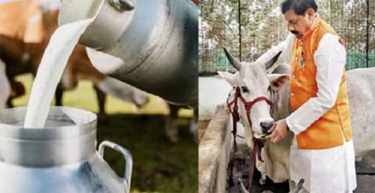 राष्ट्रीय दुग्ध दिवस 26 नवंबर पर विशेष: दुग्ध उत्पादन में अग्रणी मध्यप्रदेश