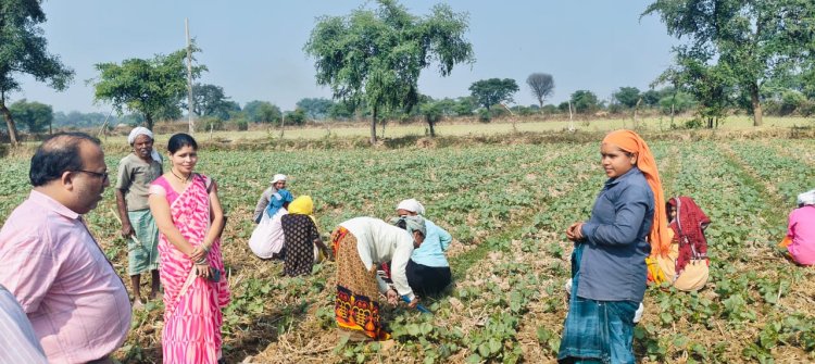 आत्मनिर्भर भारत के सपने को साकार कर रहा "बिहान