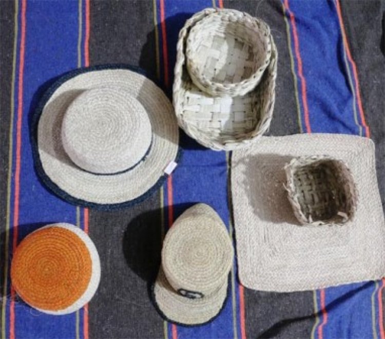 आजीविका मिशन से जुड़कर महिलाएं बढ़ रही है समृद्धि की ओर