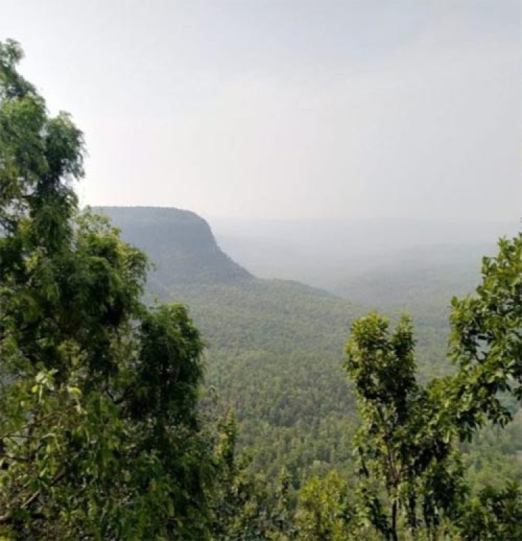 छत्तीसगढ़ ने वन एवं वृक्ष आवरण वृद्धि में देश में प्राप्त किया प्रथम स्थान