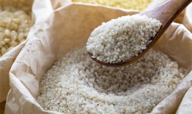 पोषक तत्वों का खजाना है सांवा का चावल, शुगर रोगियों के लिए फायदेमंद