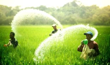 किसानों के लिए किए जा रहे नवाचार और मिल रहीं उपलब्धियाँ