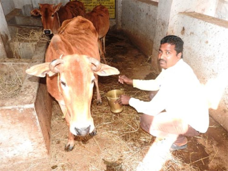 मनरेगा से बना पशु शेड देवीराम के जीवन में आई खुशहाली