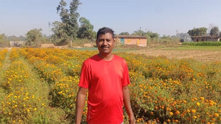 पारंपरिक खेती छोड़ परिमल ने शुरू की गेंदे के फूलों की खेती, बंपर उत्पादन से दुगुनी हुई कमाई