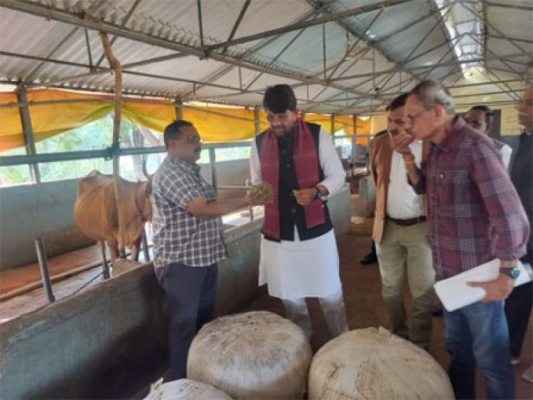 गोवंश के आहार में हरा चारा और साइलेज को शामिल करें : मंत्री पटेल