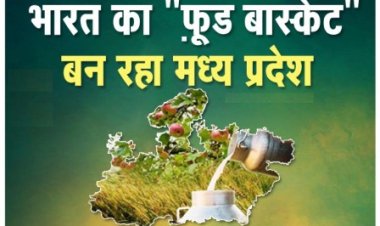 भारत का “फ़ूड बास्केट“ बन रहा मध्यप्रदेश